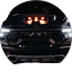 Profile photo of Trace Schrepel