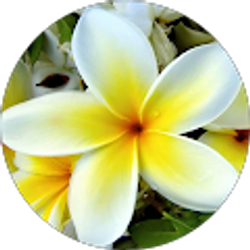 Profile photo of Keena Thomas