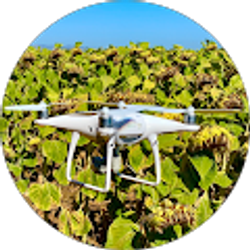 Profile photo of Robert Schulze