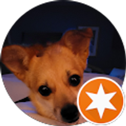 Profile photo of laurie hackett