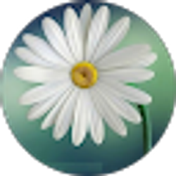 Profile photo of Shannon Cornelio