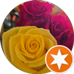 Profile photo of Dena Everett