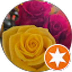 Profile photo of Dena Everett