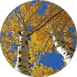 Profile photo of Emily Acosta