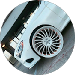 Profile photo of WINTER Z-SHOCK