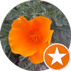 Profile photo of Tally Wacker