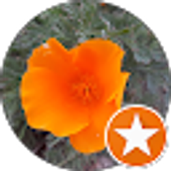 Profile photo of Tally Wacker