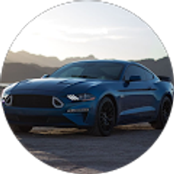 Profile photo of Joey Main