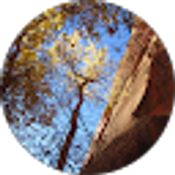 Profile photo of William Blecker