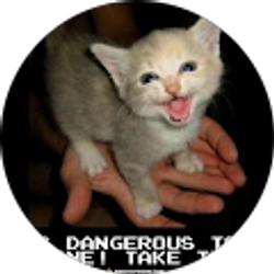 Profile photo of Amanda Witten