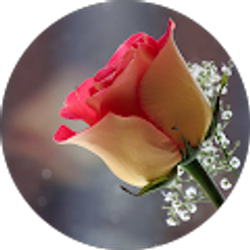 Profile photo of Debra Bunten