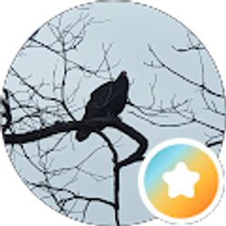 Profile photo of Nunya B