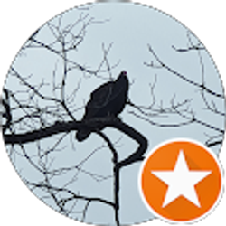 Profile photo of Nunya B