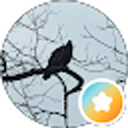 Profile photo of Nunya B