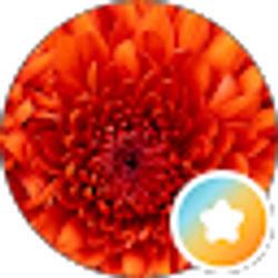 Profile photo of Nicole Hessner