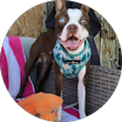 Profile photo of Elizabeth Bush