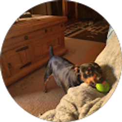 Profile photo of Scott Baker