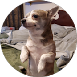 Profile photo of Russell R (West Texas Artist)