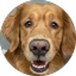 Profile photo of Justin Salter