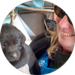 Profile photo of Suann Chapman