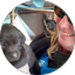 Profile photo of Suann Chapman