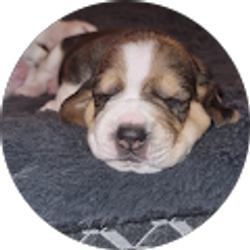 Profile photo of LUMELI DARIME RIVERO MARRERO