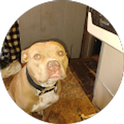 Profile photo of Jessie Biggs