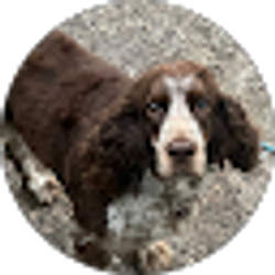 Profile photo of Isaac Jacobson