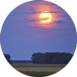 Profile photo of D Cooper