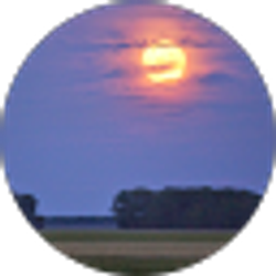 Profile photo of D Cooper