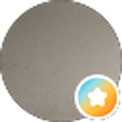 Profile photo of Sylvia