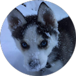 Profile photo of Joshua Townsend