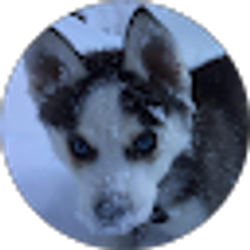 Profile photo of Joshua Townsend