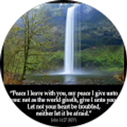 Profile photo of Robyn Russell