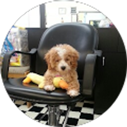 Profile photo of Corina Espinoza