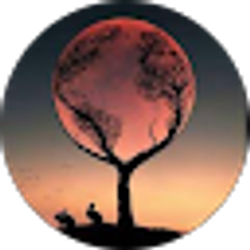 Profile photo of J