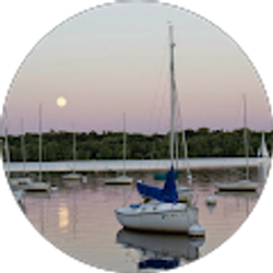 Profile photo of Dawn Schneider