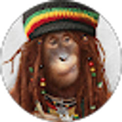 Profile photo of Zack sell