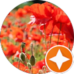 Profile photo of N Comer