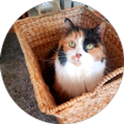 Profile photo of Lance Mann