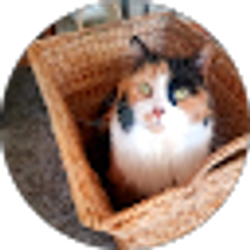 Profile photo of Lance Mann