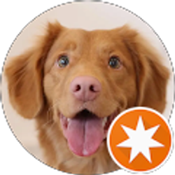 Profile photo of Jeff McEntire