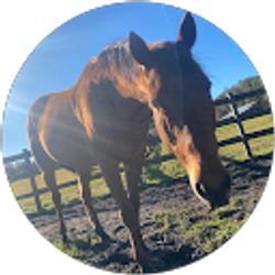 Profile photo of Brooke Rodgers