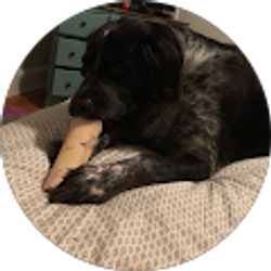 Profile photo of Ethan B.