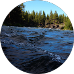 Profile photo of Joe Pandolfi