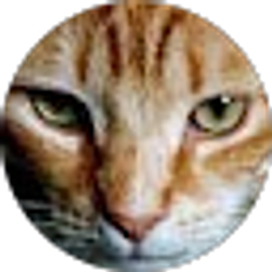 Profile photo of Bernie Kahn