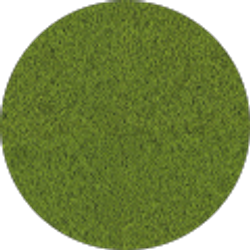 Profile photo of Hayes