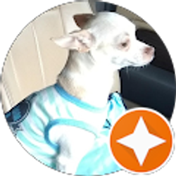 Profile photo of Luis Garzon