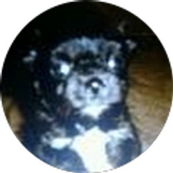 Profile photo of Melissa Velazquez