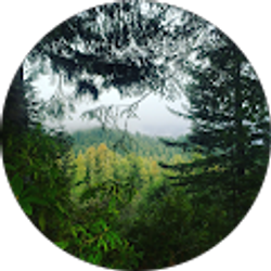 Profile photo of Nathaniel D